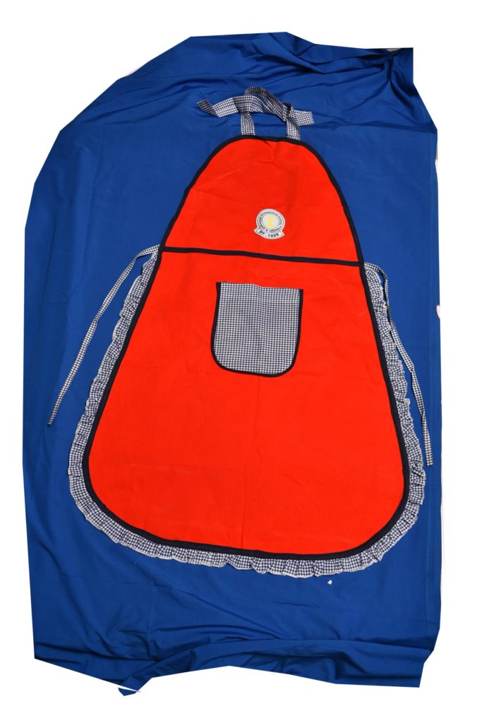 SSY APRON WITH SCART XI-XII HSN Code : 6105 – Scholar'S